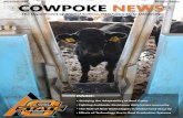 Cowpoke News - Research Edition 2014