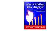 What's making you angry nonviolent communication