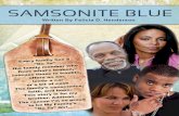 Samsonite Blue TV Treatment