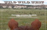 2015 Wild West Simmental Sale