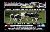 DairyBullsOnline.com Winter 2014 Sire Catalog