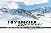 Hybrid Advantage Chianina Sale - Denver 2015