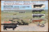 Altenburg Super Baldy Ranch, LLC Bull Sale Flyer 2015