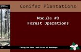 Conifer plantation management module 3