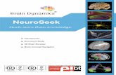 Brain Dynamics NeuroSeek (Spanish)