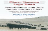Minert/Simonson Angus Ranch - 2015 Performance Bull Sale