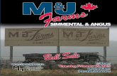 M&J Farms Simmental & Angus Bull Sale