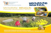 Rosliston forestry centre wildlife watch 2015