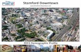 Stamford Downtown Demographic Profile