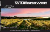 New Zealand Winegrower Feb-March 2015