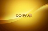 Catalogo Coipa International