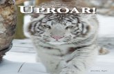 The Wildcat Sanctuary Uproar January