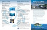 Pacific Pelagic Fishery Ecosystem Plan (Samoan)