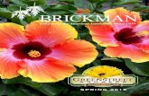 Brickman Catalog Spring 2015