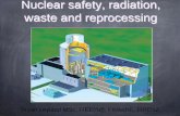 Nuclear safety, radiation, waste and reprocessing (Bryan Leyland)