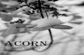 Acorn winter issue 2015