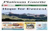 Platinum Gazette 13 February 2015