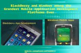 Blackberry mobile apps and windows mobile apps the grandest mobile app platforms
