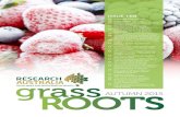 Research Australia grassROOTS autumn 2015