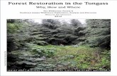 Tongass forest restoration christensen 2012