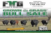 Flying H Genetics' 2015 Missouri Spring Bull Sale