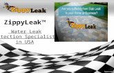 Sewer Leak Detection Houston TX | 713-338-2088 | ZippyLeak