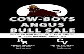 Cow-Boys Angus Bull Sale, 2015