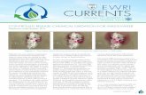 Winter 2015 currents