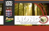 LIGNO- Ligno Micronurients brochure eng