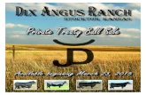 Dix Angus Ranch - 2015 Private Treaty Bull Sale