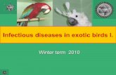 Infectious diseases in exotic birds i