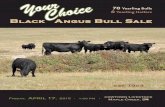 2015 Your Choice Bull & Heifer Sale (Delorme/South Shadow Angus)