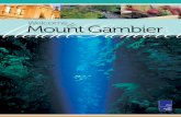 Mount Gambier Area Information Guide