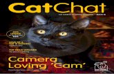 Cat haven cat chat march 2015