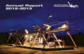 Activate Annual Report 2012-2013