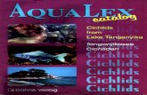 aqualex catalog - cichlids from lake tanganyika
