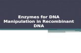 Lecture 3-Enzyme for DNA Manipulation in Recombinant DNA