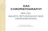 Lecture 10 - Gas Chromatography
