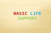 Basic Life Support (Bls)