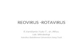 REOVIRUS -ROTAVIRUS
