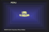 Peru. La Molina en Lima