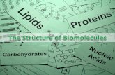 1 Structure of Biomolecules 2014