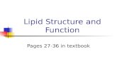 01 Structure of Lipids