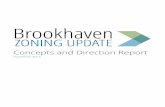 Brookhaven GA Zoning Code Rewrite Outline Report November 2015