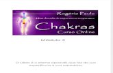 Manual Curso de Chakras Online - Mód. 3