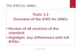 Overview of IFRS for SMEs Version2011