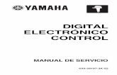 Control Digital Electronico