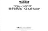 Texas Blues Guitar