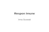 Respon Imun