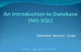 An Introduction to Database (MS-SQL)